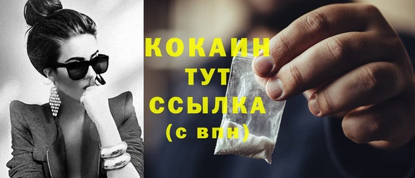 PSILOCYBIN Горняк