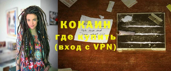PSILOCYBIN Горняк