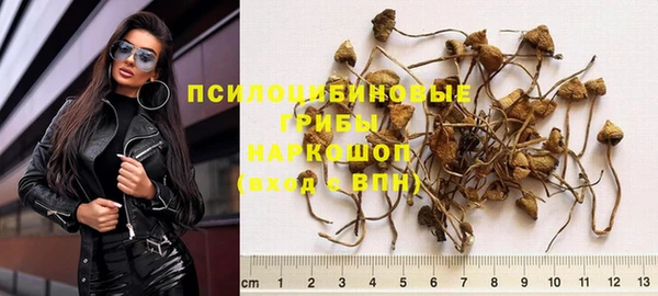 PSILOCYBIN Горняк