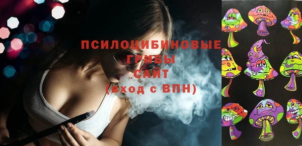 дживик Горнозаводск