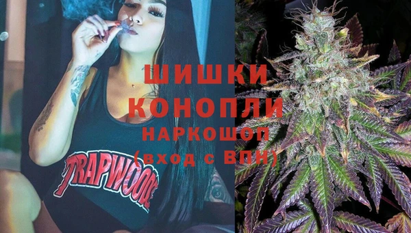 дживик Горнозаводск