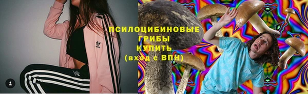 PSILOCYBIN Горняк