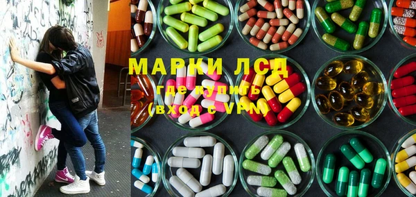 PSILOCYBIN Горняк