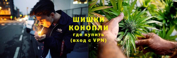 PSILOCYBIN Горняк