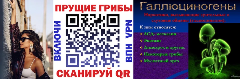 Купить закладки Новошахтинск Галлюциногенные грибы Psilocybine cubensis